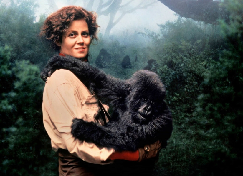 Dian Fossey - la vida y muerte de la valiente "Reina de los Monos"