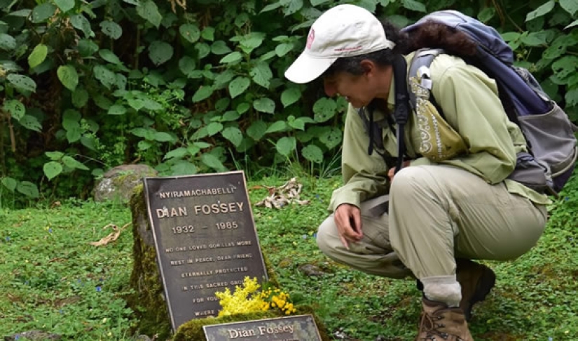 Dian Fossey - la vida y muerte de la valiente "Reina de los Monos"