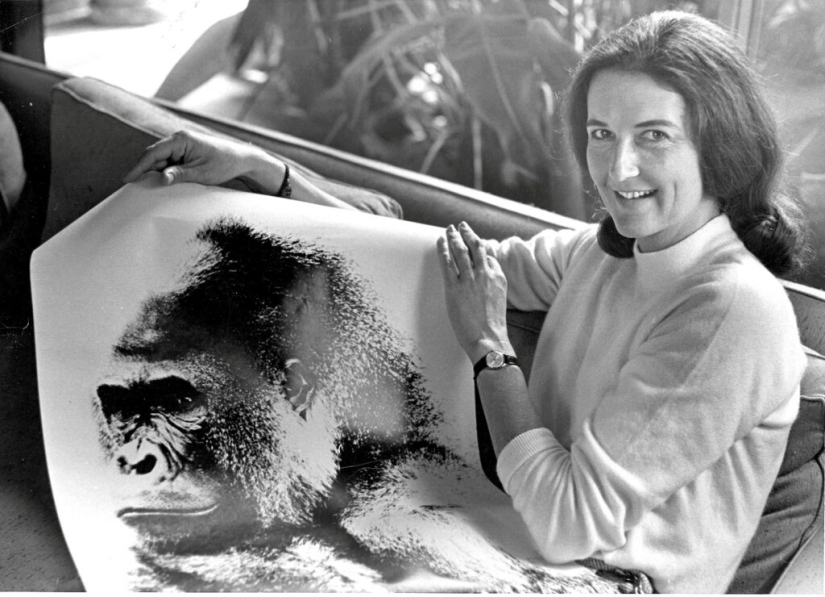 Dian Fossey - la vida y muerte de la valiente "Reina de los Monos"