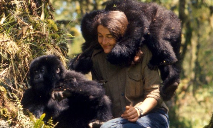 Dian Fossey - la vida y muerte de la valiente "Reina de los Monos"