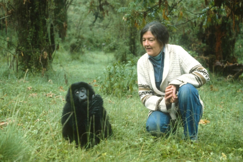 Dian Fossey - la vida y muerte de la valiente "Reina de los Monos"