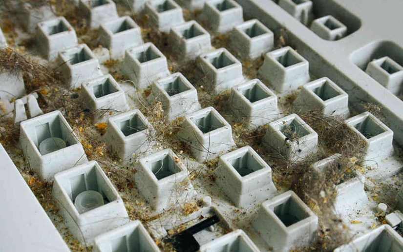 Dirtiest place in any apartment