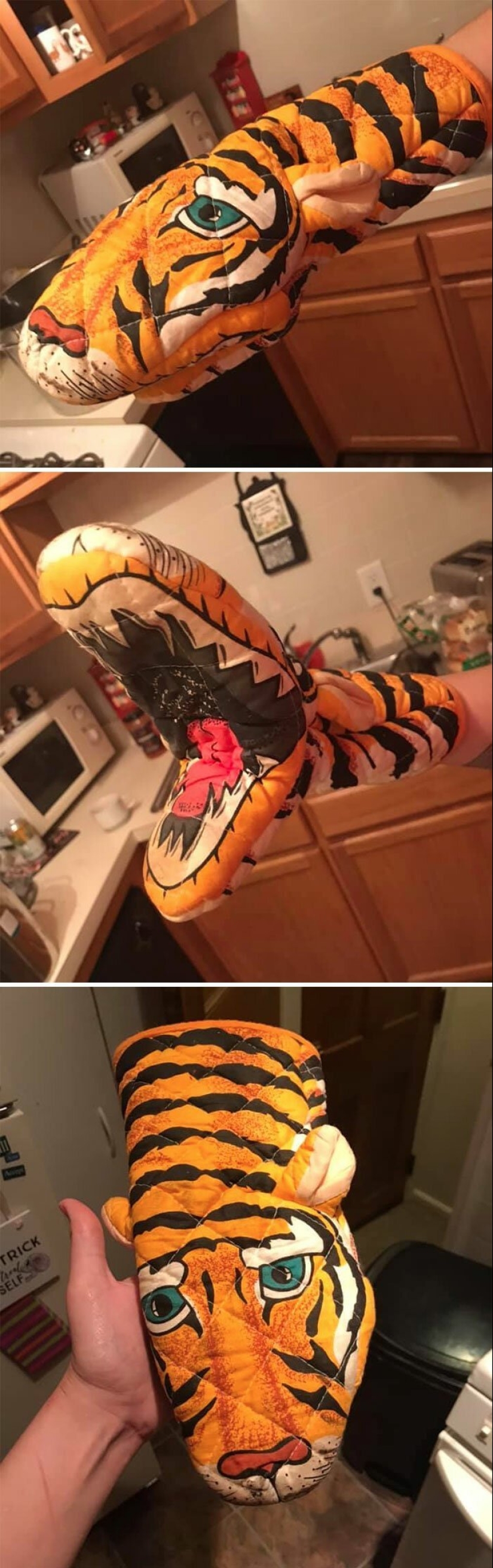 Disco pig, the phone-mouth and other curios, bought with it