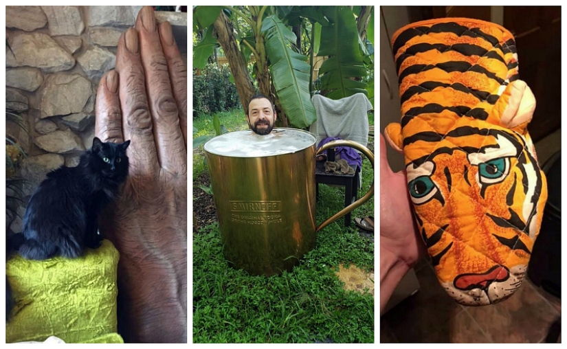 Discoteca de cerdo, el teléfono boca y otras curiosidades, comprado con ella