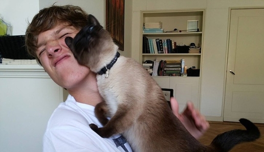 Divertidos animales que necesitan la atención del titular ahora mismo Divertidos animales que necesitan la atención del titular ahora mismo