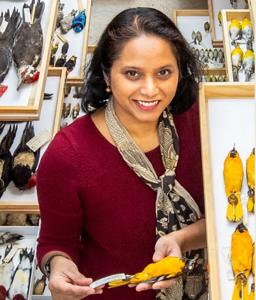 Do Birds Pee: An Ornithologist Answers an Interesting Question