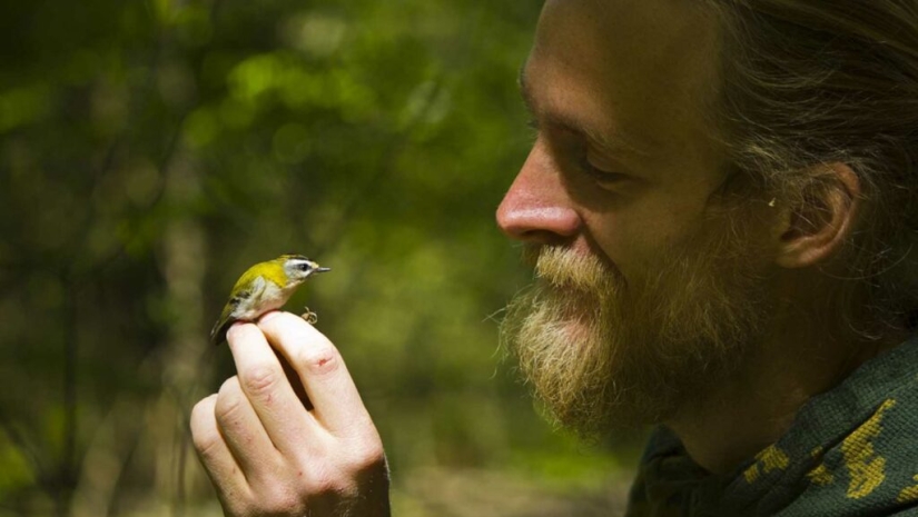 Do Birds Pee: An Ornithologist Answers an Interesting Question