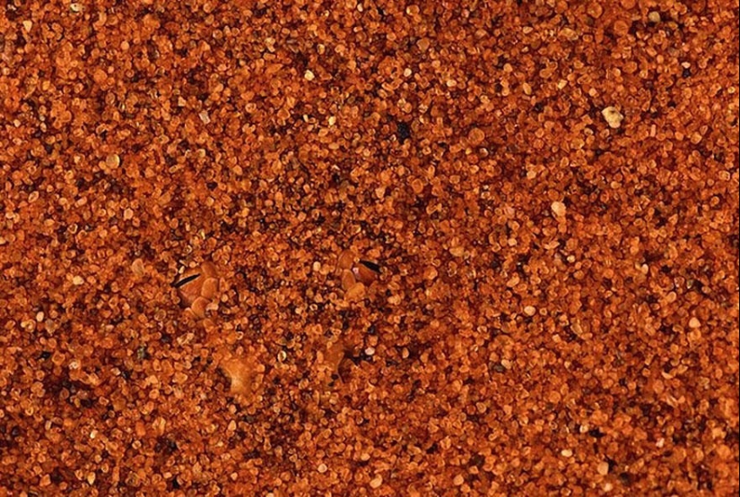 Do you see animals in the photos?