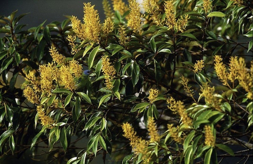 Do you see animals in the photos?