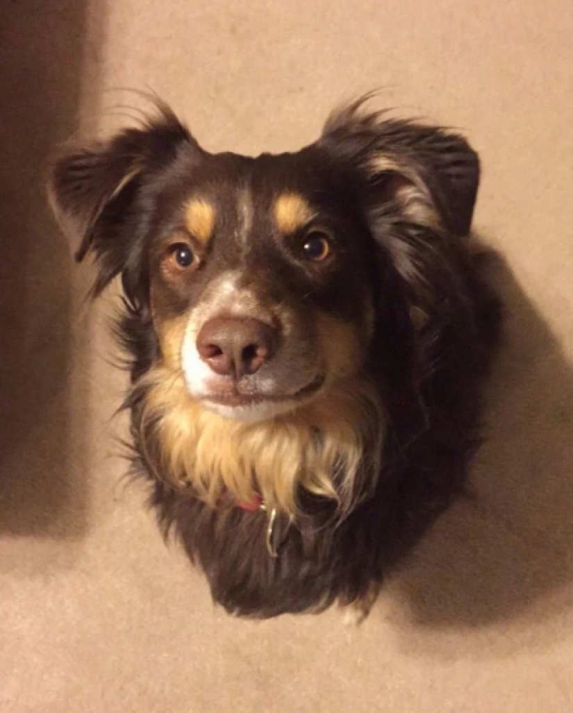 Don't believe your eyes! 22 Amazing Optical Puzzle Photos