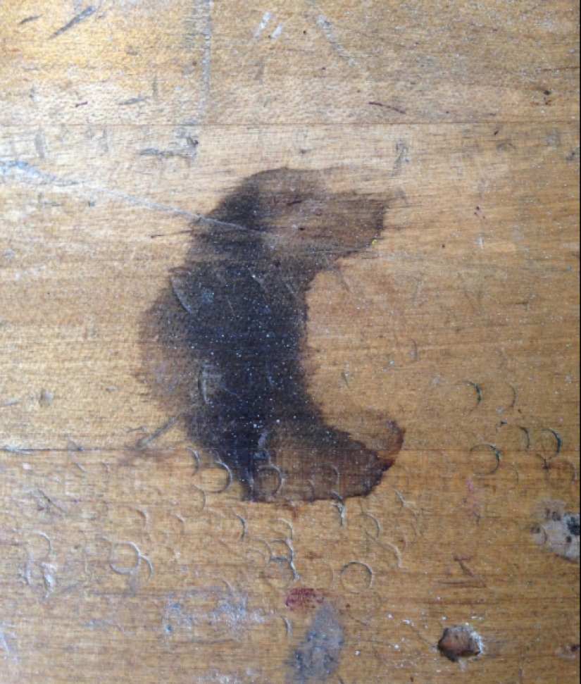 Don't believe your eyes! 22 Amazing Optical Puzzle Photos