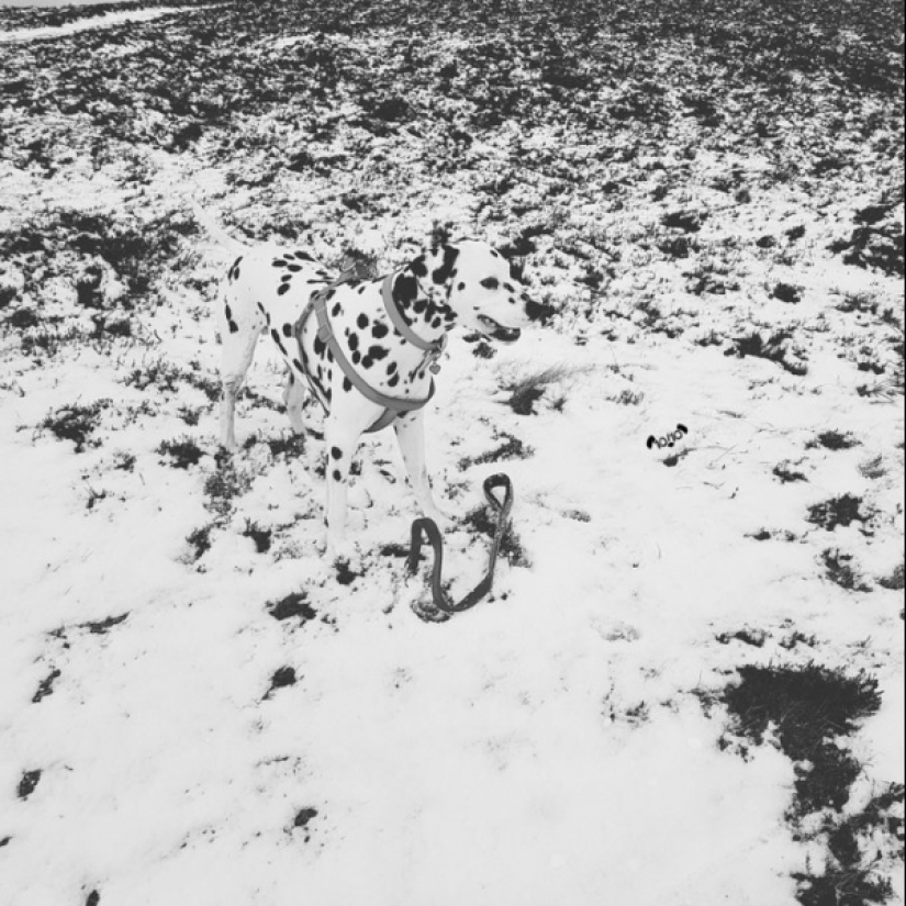 Don't believe your eyes! 22 Amazing Optical Puzzle Photos