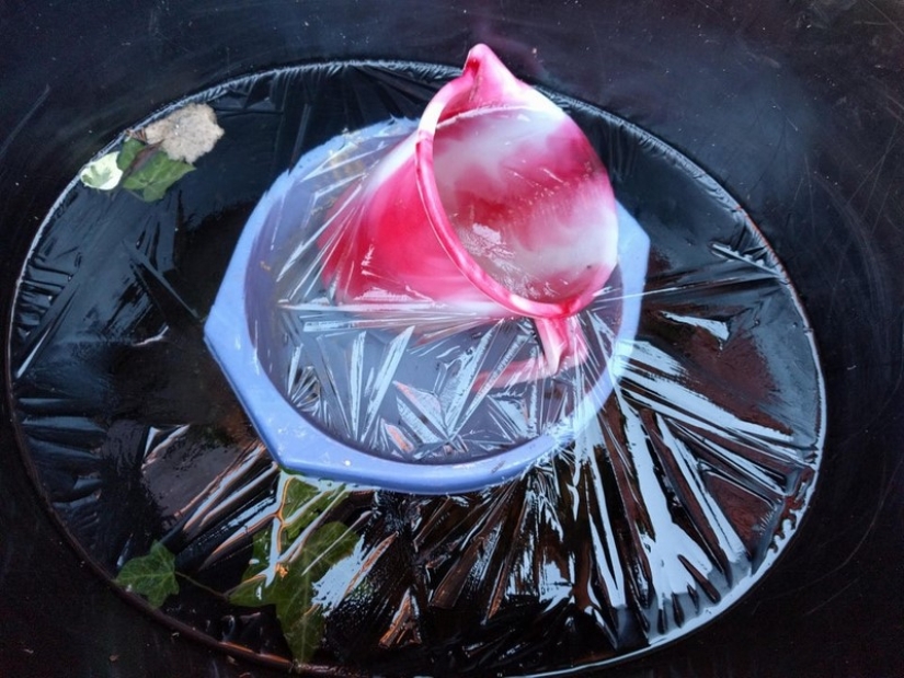 Don't believe your eyes! 22 Amazing Optical Puzzle Photos