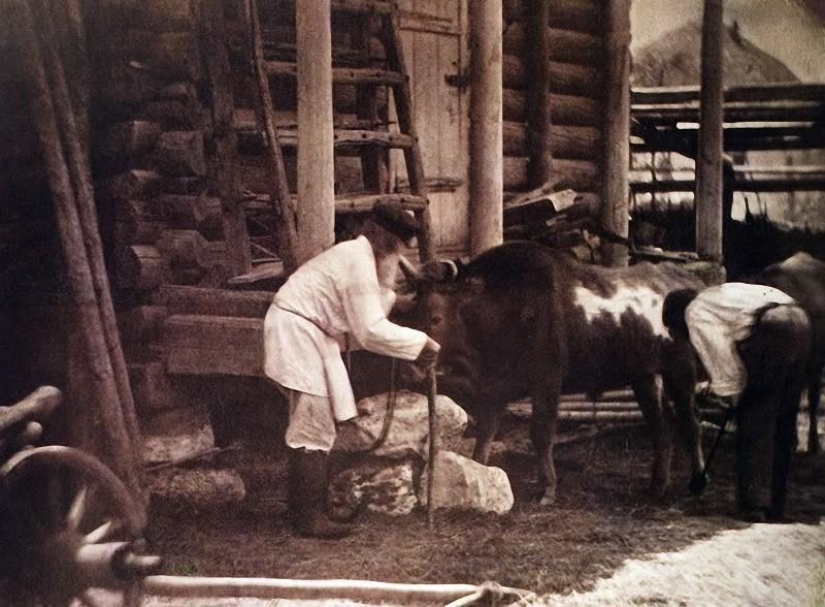 Donskoy álbum de Ivan Vasilyevich Boldyrev Donskoy álbum de Ivan Vasilyevich Boldyrev