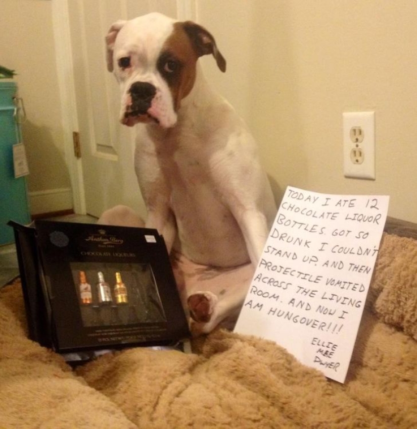 Don't pour Saturn anymore! 22 times when alcohol led to awkward situations