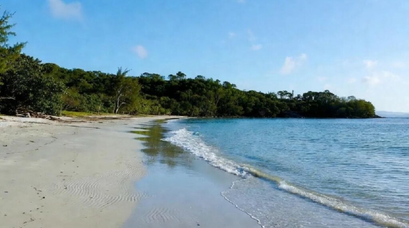 Dos estadounidenses planearon capturar la isla y matar a sus habitantes. Dos estadounidenses planearon capturar la isla y matar a sus habitantes.