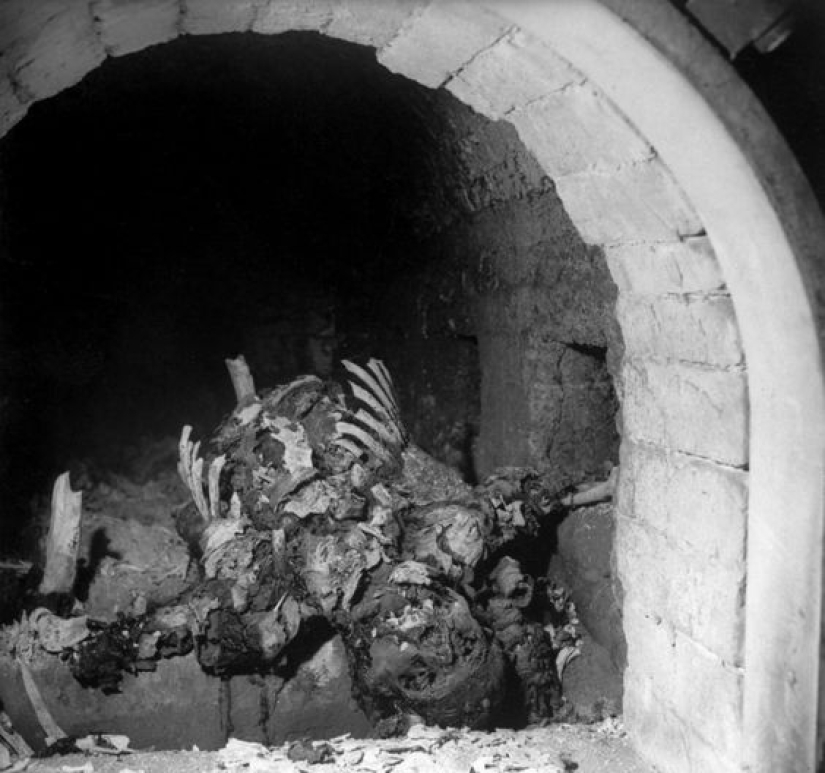 Dr. Death Josef Mengele is a killer of thousands who has not repented Dr. Death Josef Mengele is a killer of thousands who has not repented