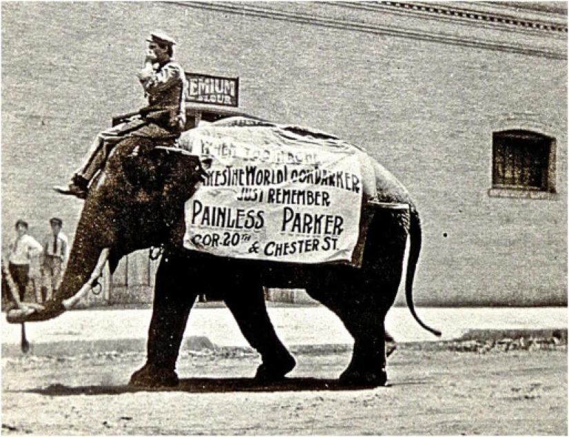 Dr. Edgar Parker's Mad Dental Circus