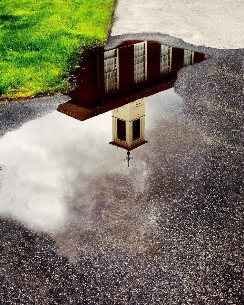 Dr. Joshua Sarinana extraordinary gift: to see the usual puddle of beauty Dr. Joshua Sarinana extraordinary gift: to see the usual puddle of beauty