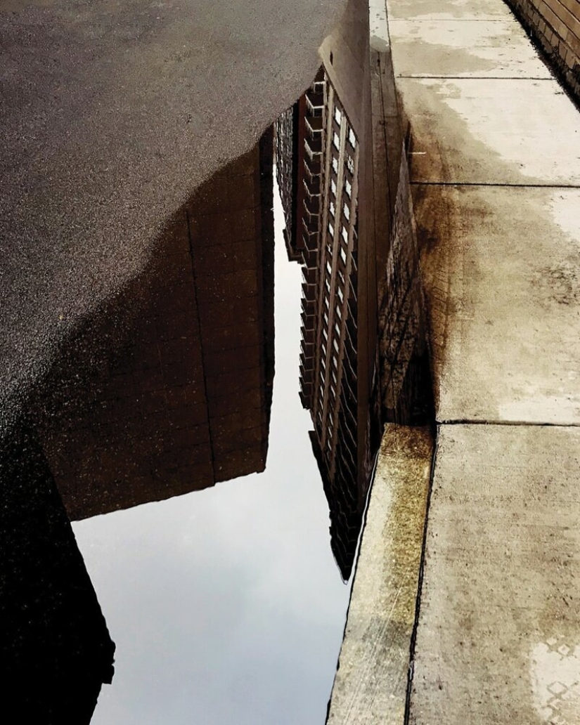 Dr. Joshua Sarinana extraordinary gift: to see the usual puddle of beauty Dr. Joshua Sarinana extraordinary gift: to see the usual puddle of beauty