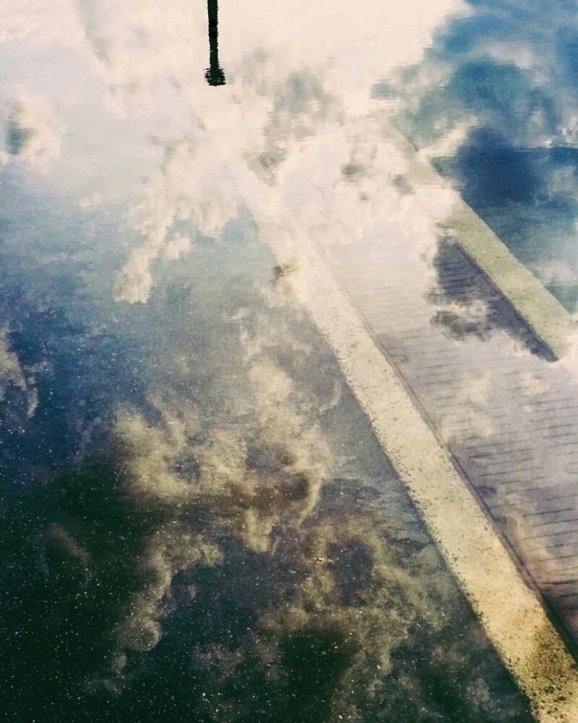 Dr. Joshua Sarinana extraordinary gift: to see the usual puddle of beauty Dr. Joshua Sarinana extraordinary gift: to see the usual puddle of beauty