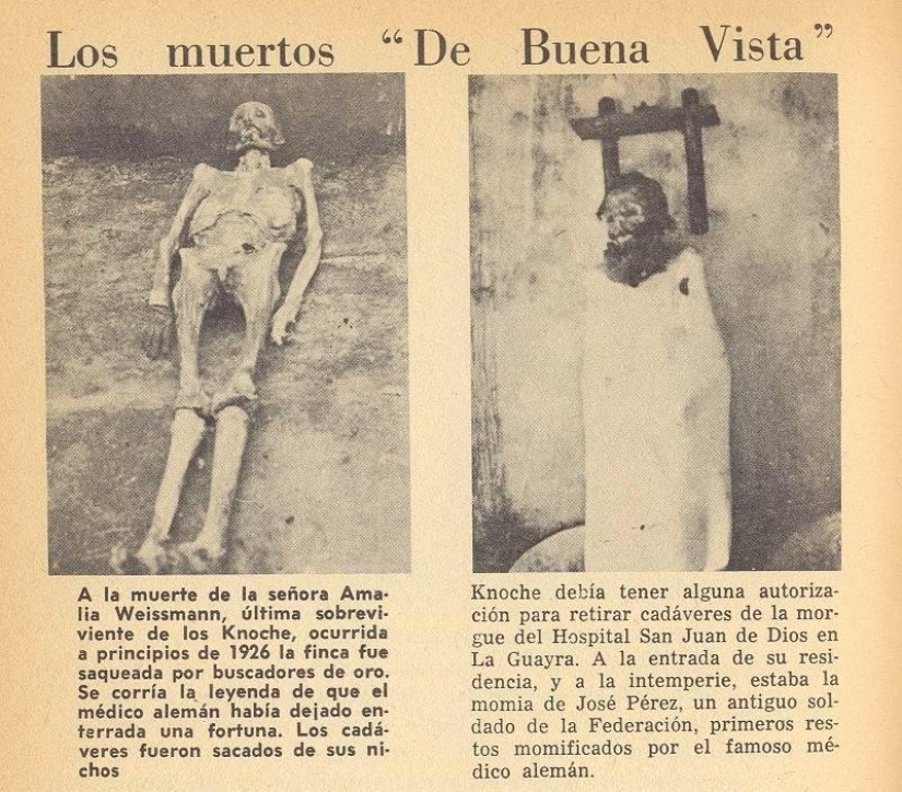 Dr. Knoche y su “fábrica de momias” en las selvas de Venezuela