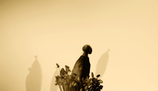 Dreamlike Photographs Of Poppies By Julie Wang