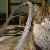 Duro trabajo de los gatos-los trabajadores: ellos nunca dicen que tienen piernas