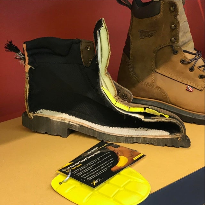 Echa un vistazo al interior! 20 fotos de los artículos que se cortan a la mitad