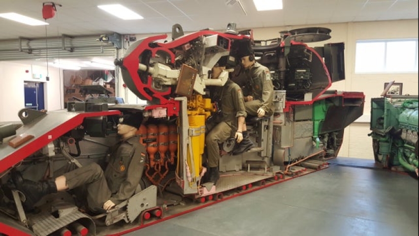 Echa un vistazo al interior! 20 fotos de los artículos que se cortan a la mitad