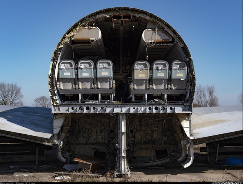 Echa un vistazo al interior! 20 fotos de los artículos que se cortan a la mitad