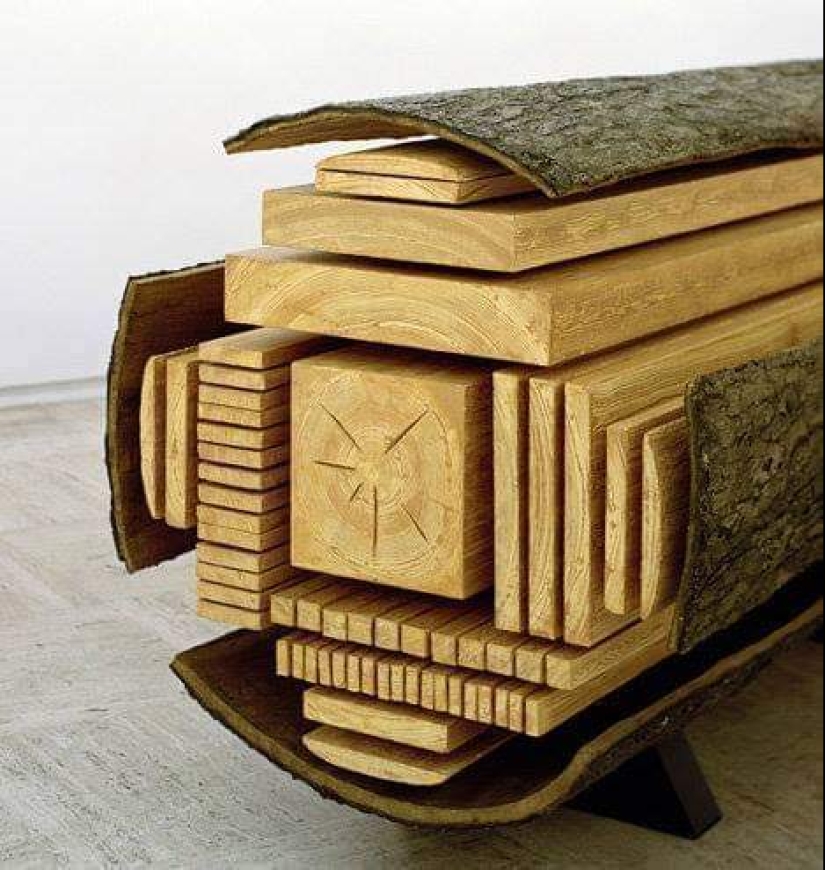 Echa un vistazo al interior! 20 fotos de los artículos que se cortan a la mitad