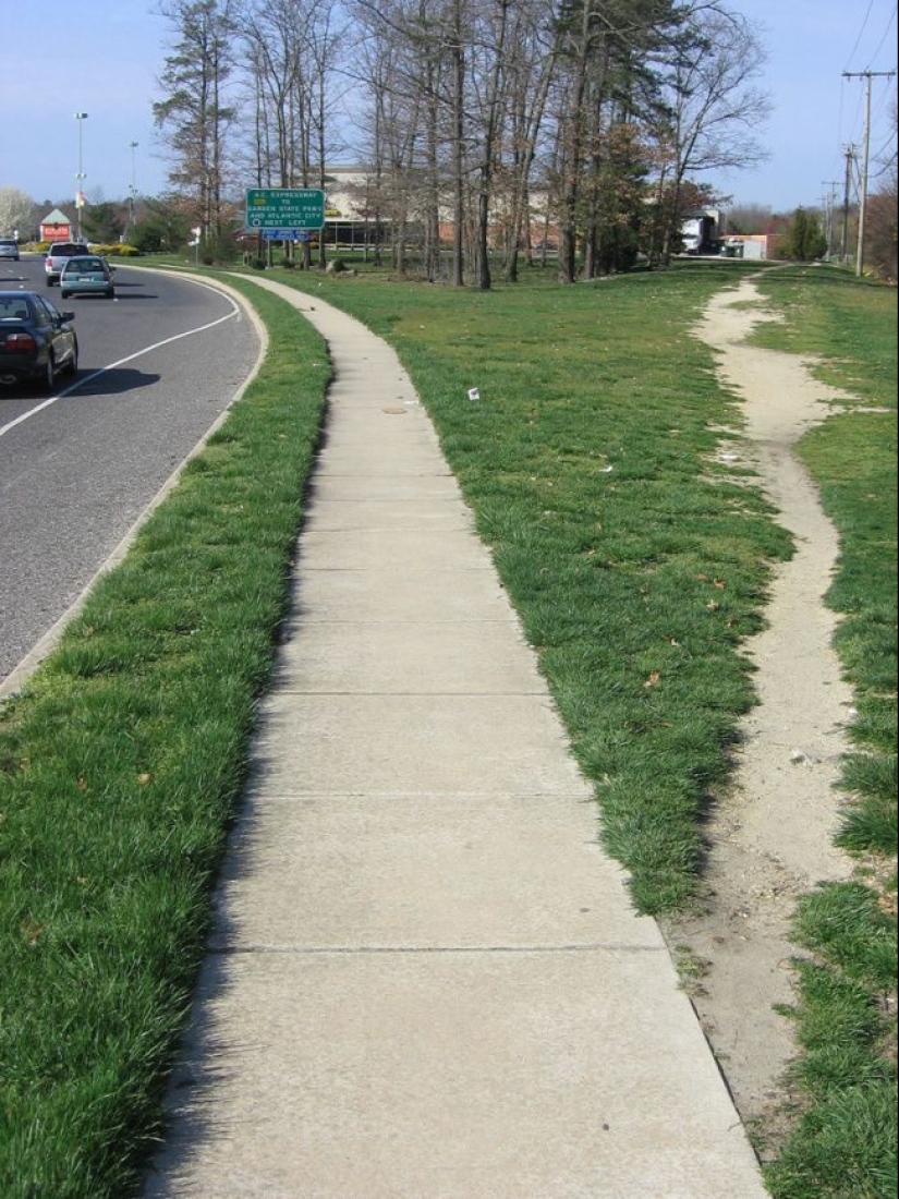 Eglet, kollivubl and other words, the knowledge of which can shine in the company Eglet, kollivubl and other words, the knowledge of which can shine in the company