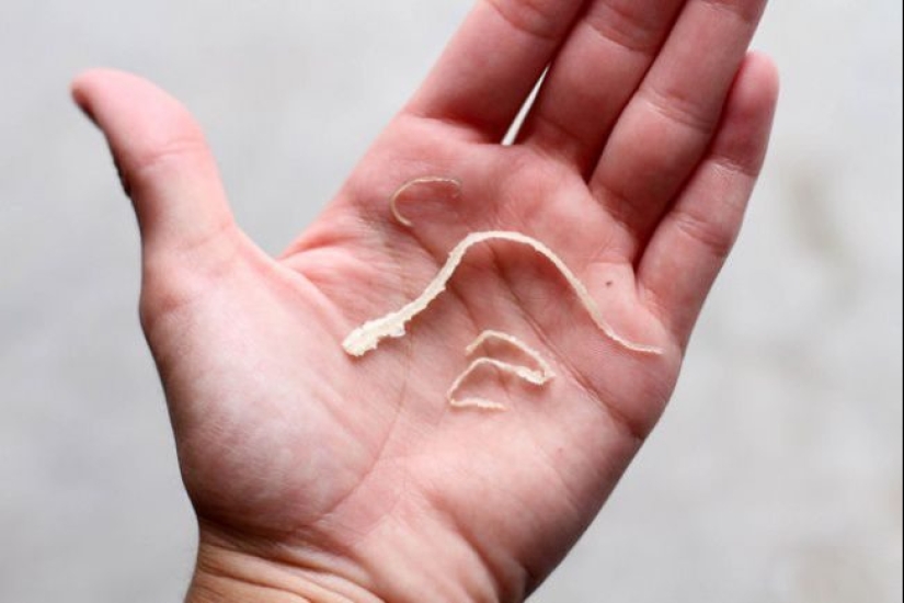 Eglet, kollivubl y otras palabras, cuyo conocimiento puede brillar en la empresa Eglet, kollivubl y otras palabras, cuyo conocimiento puede brillar en la empresa