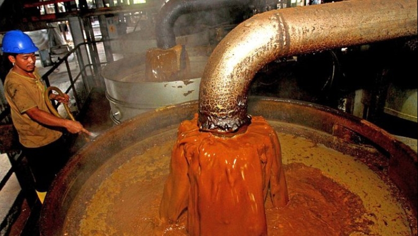 El aceite de palma al descubierto: informe de la Organización Mundial de la Salud