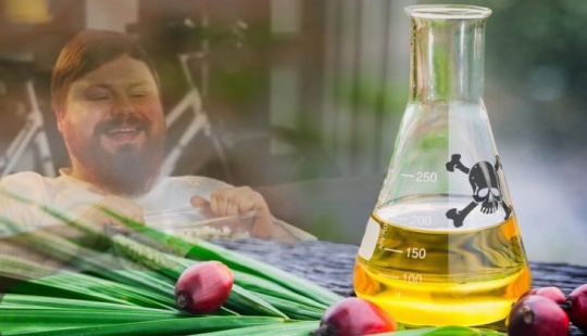 El aceite de palma al descubierto: informe de la Organización Mundial de la Salud