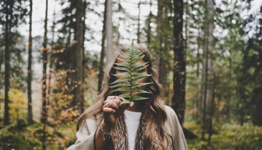 El arte japonés de Shinrin-yoku, o Cómo caminar en el bosque El arte japonés de Shinrin-yoku, o Cómo caminar en el bosque