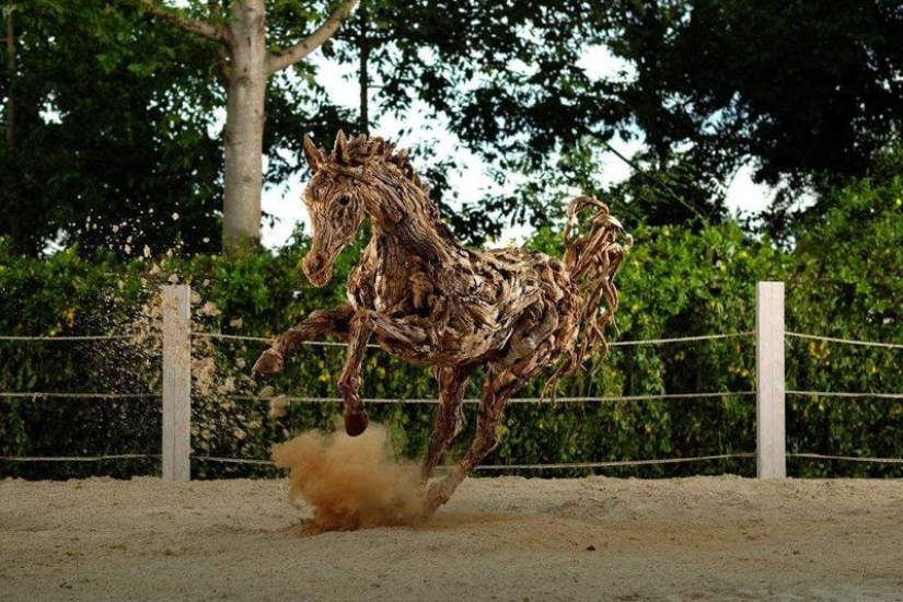El artista convirtió madera flotante en hermosas esculturas de animales en movimiento El artista convirtió madera flotante en hermosas esculturas de animales en movimiento