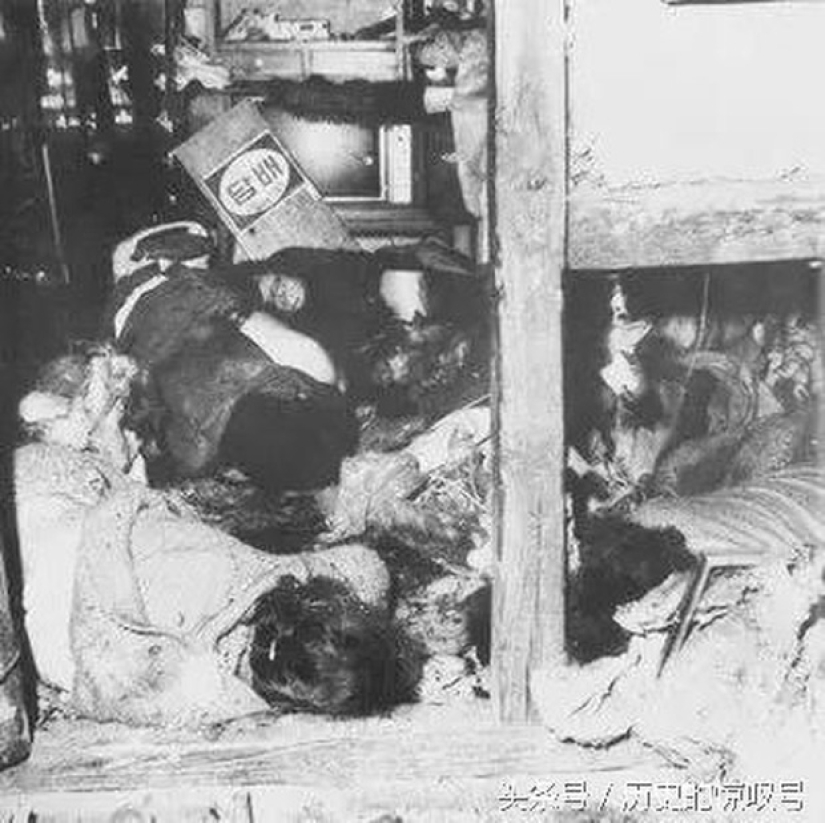 El asesino de policías Woo Beom-gon: cómo ocurrió la masacre más sangrienta de Corea del Sur El asesino de policías Woo Beom-gon: cómo ocurrió la masacre más sangrienta de Corea del Sur