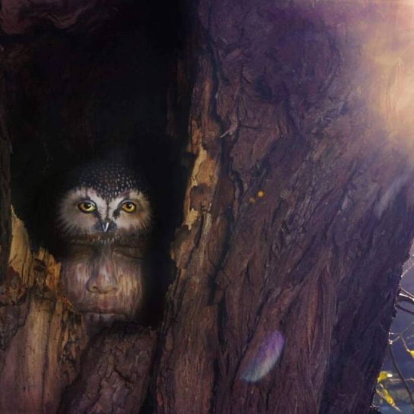 El cuerpo humano es el lienzo: cuerpo increíble pintura Gezin Marwedel