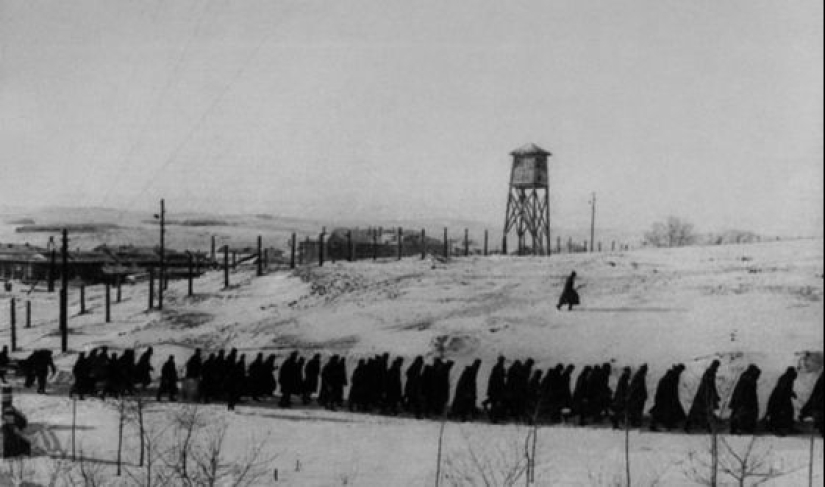 El destino de la última ladrona Aglaya Demidova, que murió por amor El destino de la última ladrona Aglaya Demidova, que murió por amor