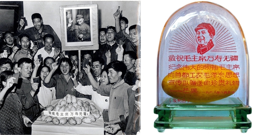 El don de la "Gran timonel" o Como China golpeó el mango locura