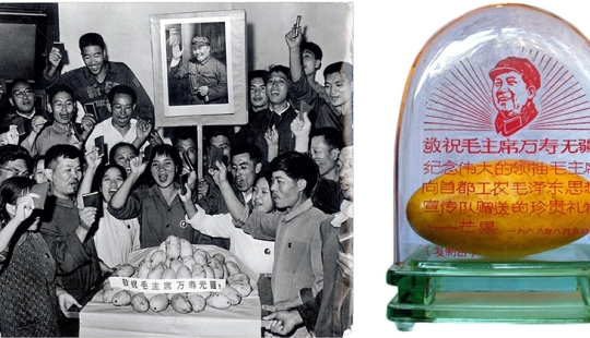 El don de la "Gran timonel" o Como China golpeó el mango locura El don de la "Gran timonel" o Como China golpeó el mango locura