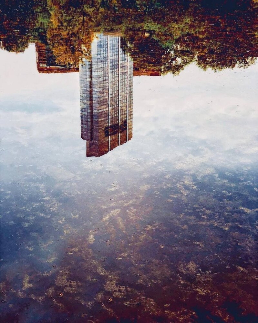 El Dr. Joshua Sarinana don extraordinario: para ver el habitual charco de belleza