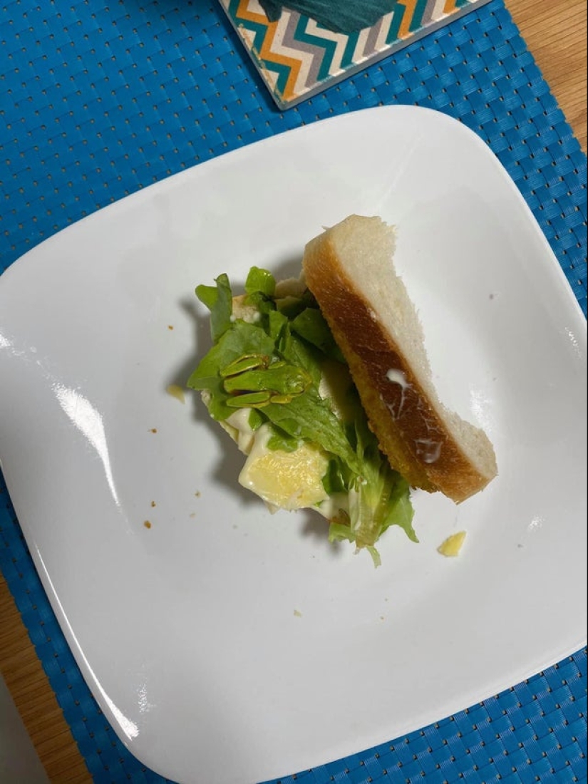 El escondite: 22 fotos que te harán mirar dos veces