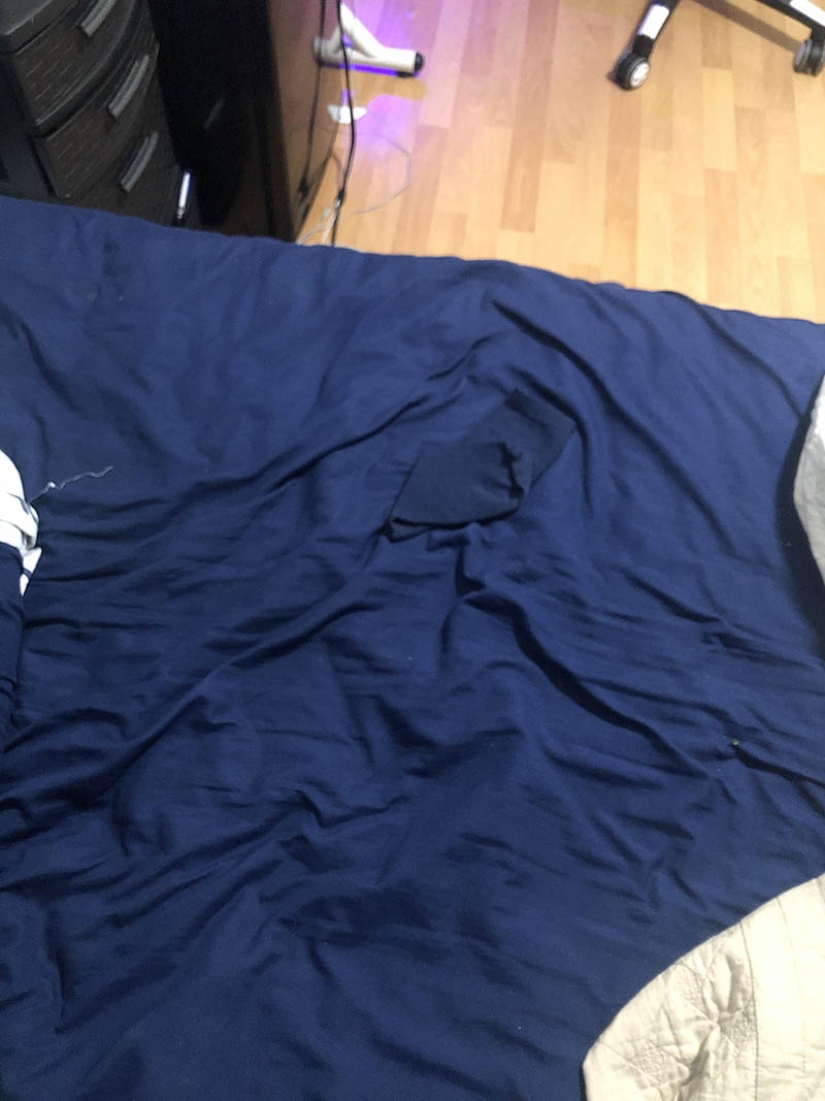 El escondite: 22 fotos que te harán mirar dos veces