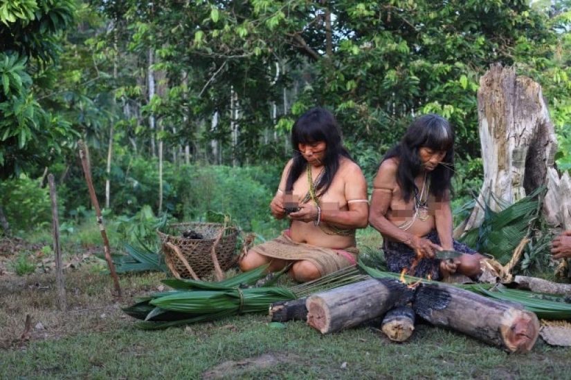 El Espíritu de la Amazonía: la vida de la antigua tribu Matses - "pueblo jaguar" El Espíritu de la Amazonía: la vida de la antigua tribu Matses - "pueblo jaguar"