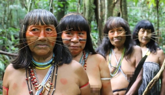 El Espíritu de la Amazonía: la vida de la antigua tribu Matses - "pueblo jaguar" El Espíritu de la Amazonía: la vida de la antigua tribu Matses - "pueblo jaguar"