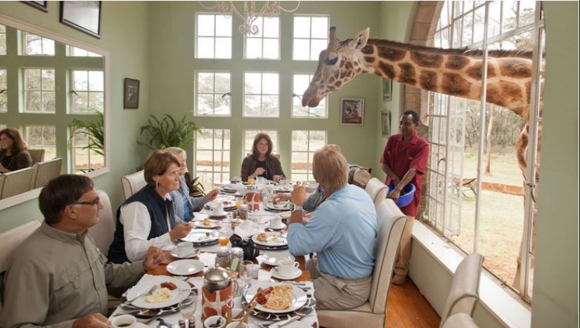 El exclusivo Giraffe Manor Hotel ofrece cenas con jirafas