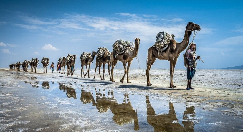 El fenómeno de Yibuti: por qué este país pobre resulta inasequible para el turista común